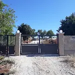 Medronheiras Vale Covo (Faro)