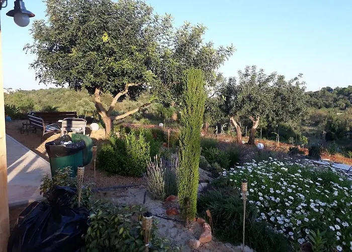 펜션 Medronheiras Vale Covo (Faro)