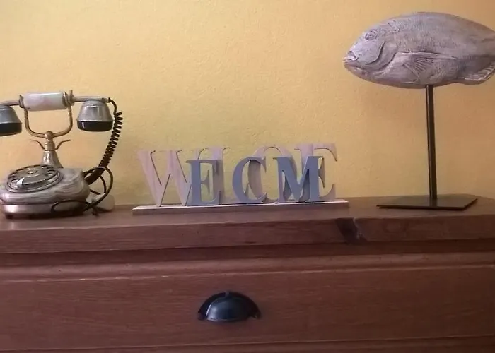 Medronheiras 펜션 Vale Covo (Faro)