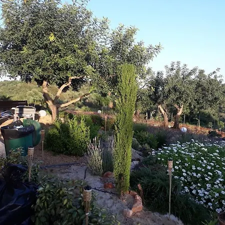 Holiday home Medronheiras Vale Covo (Faro)