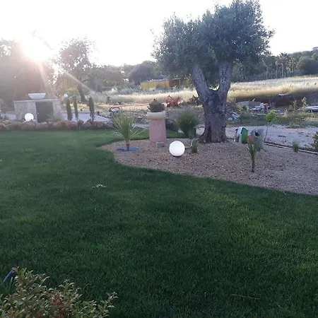 Holiday home Medronheiras *