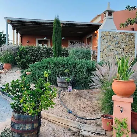 Holiday home Medronheiras *