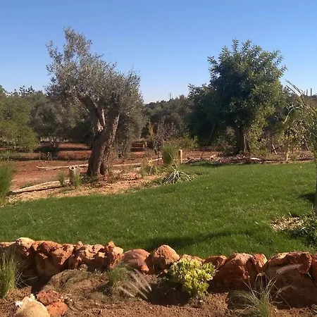 Tatil Evi Medronheiras *