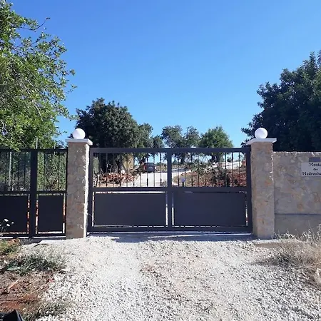 Medronheiras Vale Covo (Faro)