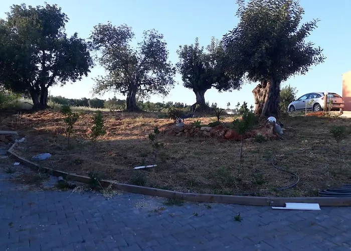 Medronheiras Vale Covo (Faro)