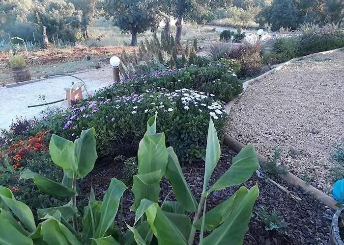 Prázdninový dům Medronheiras