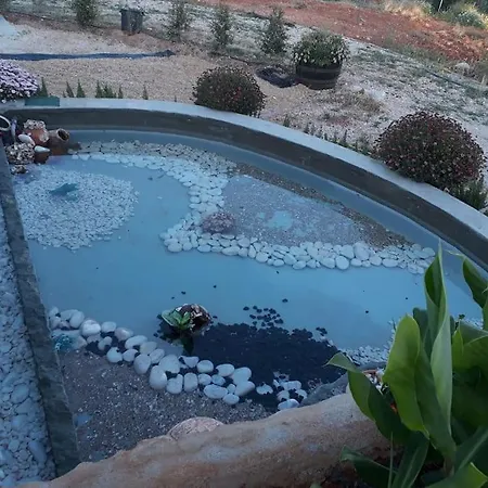 Medronheiras בית נופש *