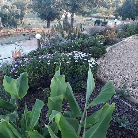 בית נופש Medronheiras